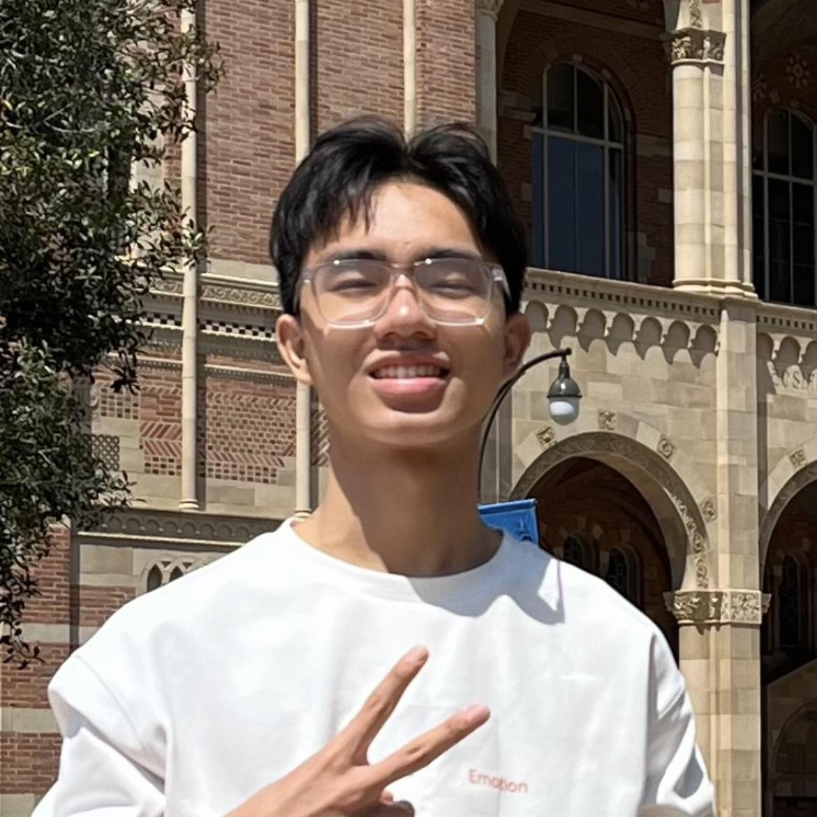 Bao L. Q. Nguyen